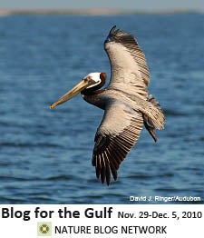 Nature Blog Network's Blog for the Gulf