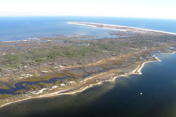 Cat Island in Mississippi was hit hard by Hurricane Katrina in 2005. The beach and shoreline eroded away, but the island stayed stable because of healthy back barrier marsh and maritime forest. Credit: USGS