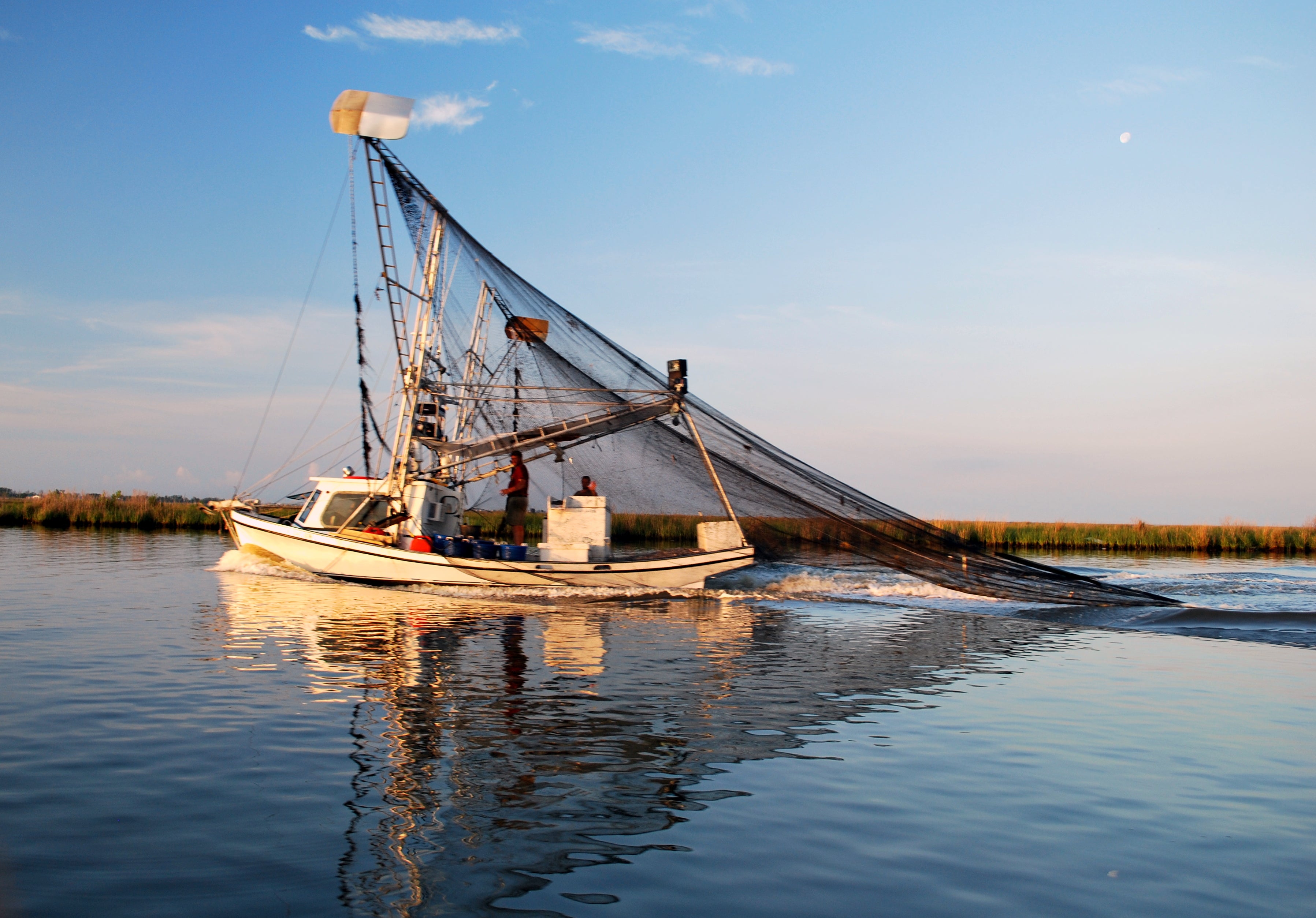 How Will Sediment Diversions Impact Fisheries in Louisiana?