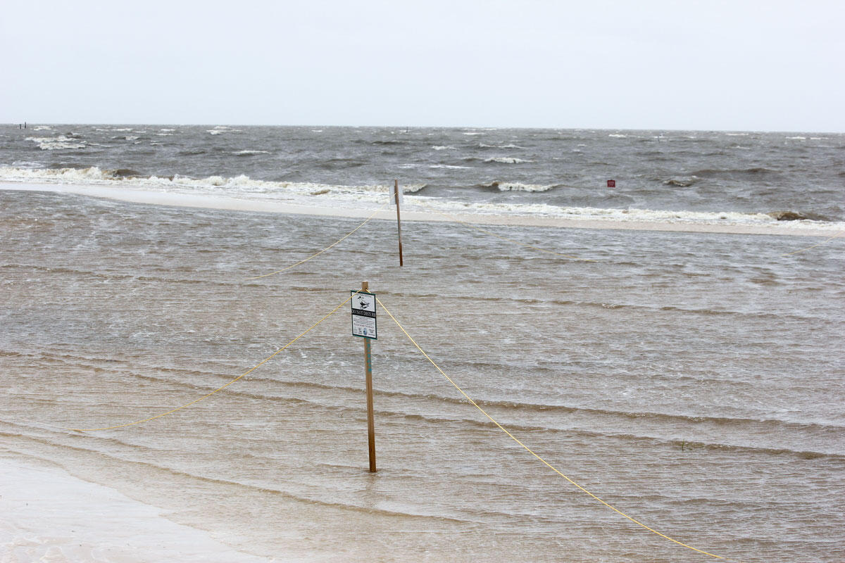 Stakes and twine that alerted beachgoers to nesting Least Terns show the outline of the nesting area where chicks drowned after Tropical Storm Cindy. Photo: Abby Darrah.