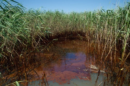 Cat Island Oil Spill - Restore the Mississippi River Delta