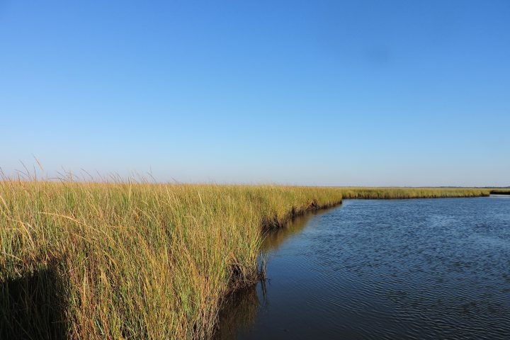 About Us - Restore the Mississippi River Delta