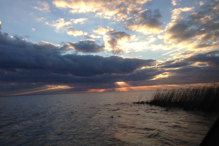 Restore the Mississippi River Delta - What We Do