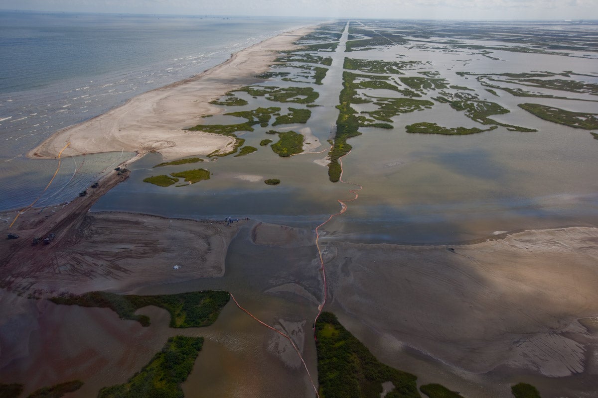 Copy of yuki_kokubo-0981 Grand Isle oil spill