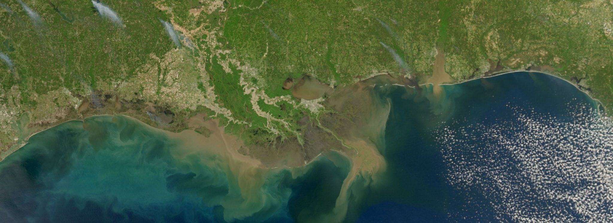 Wasted Sediment - Restore the Mississippi River Delta