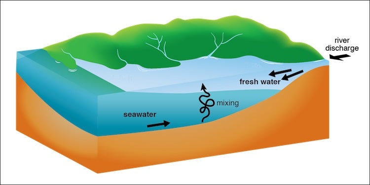Estuaries 101 3 Things To Know About This Important Ecosystem