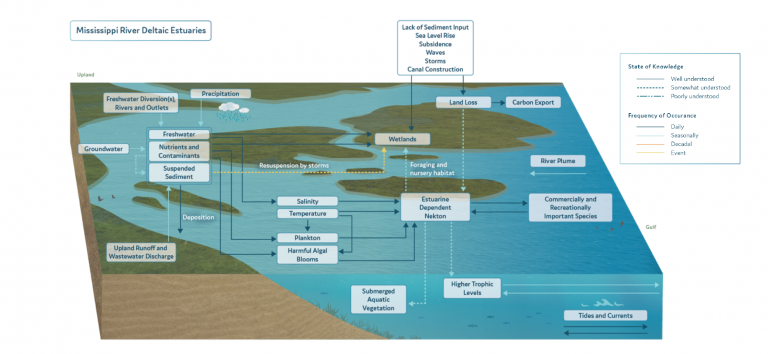 Estuaries Model - Restore the Mississippi River Delta