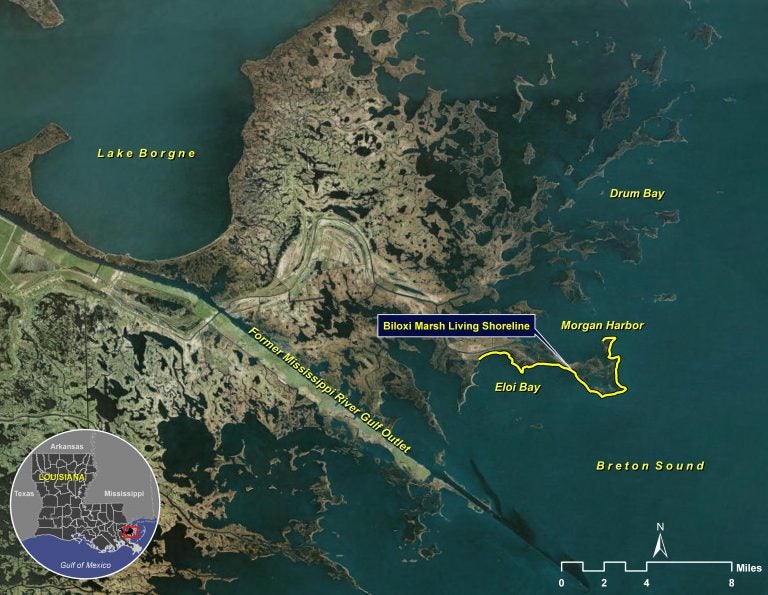 Living Shoreline Project