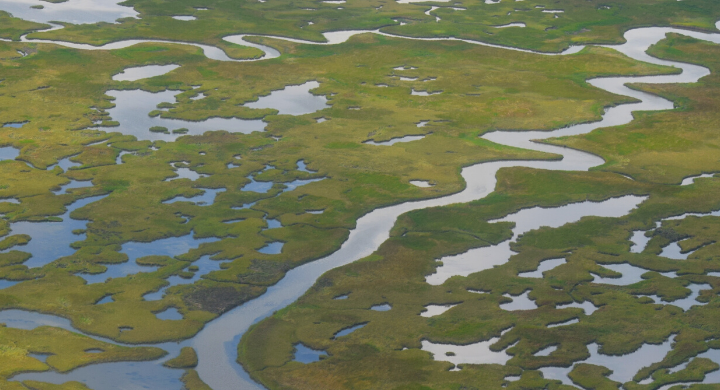 Mid-Barataria Sediment Diversion Our Best Shot to Turn the Tide on ...