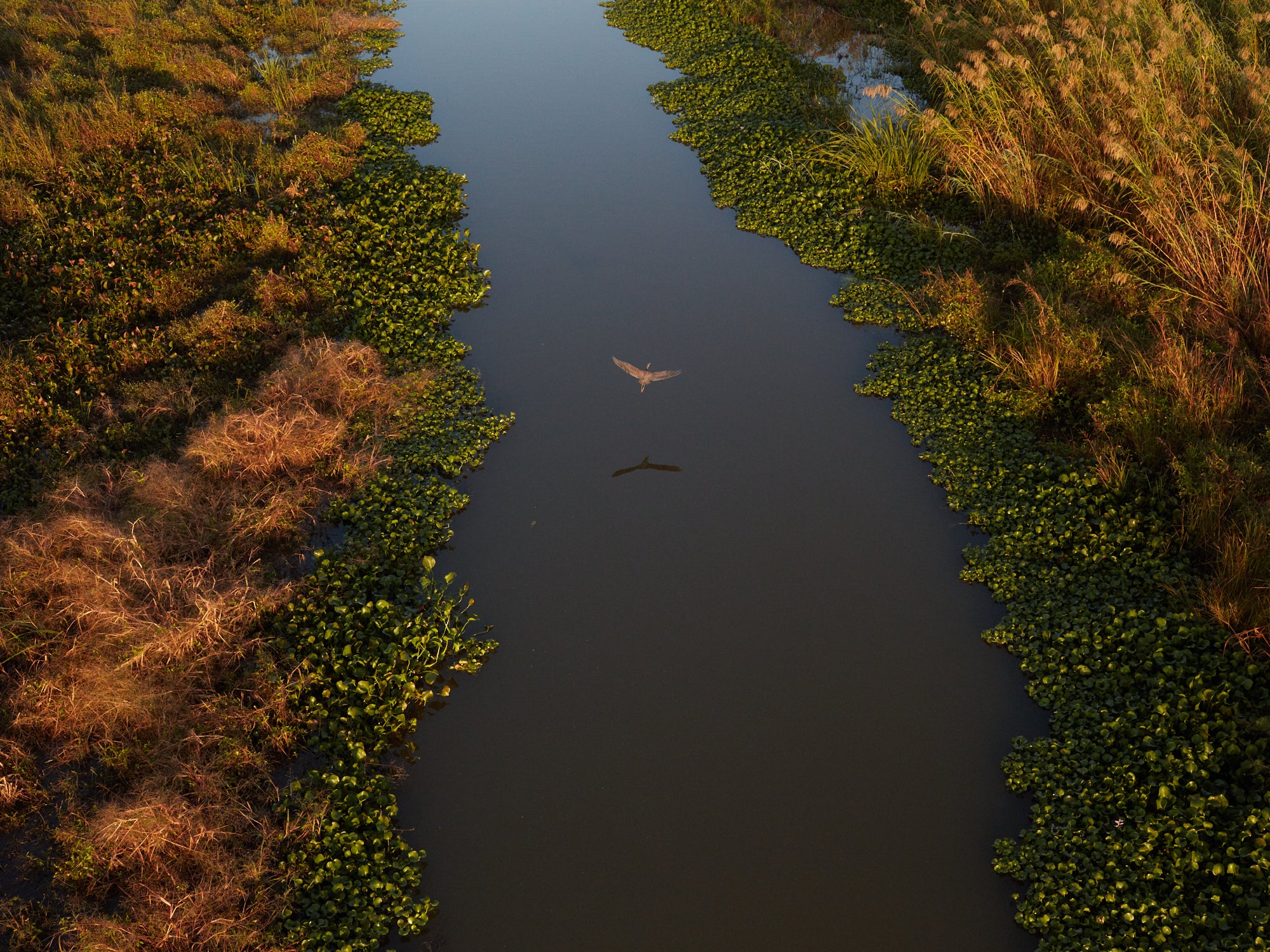 soaring-above-louisiana-s-coast-shows-how-we-can-restore-it-restore