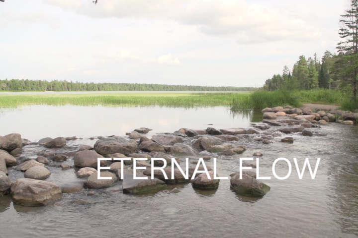 Eternal Flow: Mississippi River Views from Louisiana