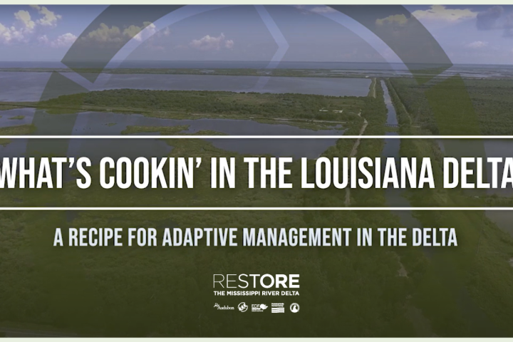 Getting the Recipe Right: How Adaptive Management Can Help Optimize Diversions