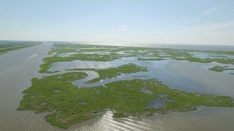 Louisiana Voters Overwhelmingly Support Large-Scale Coastal Restoration ...