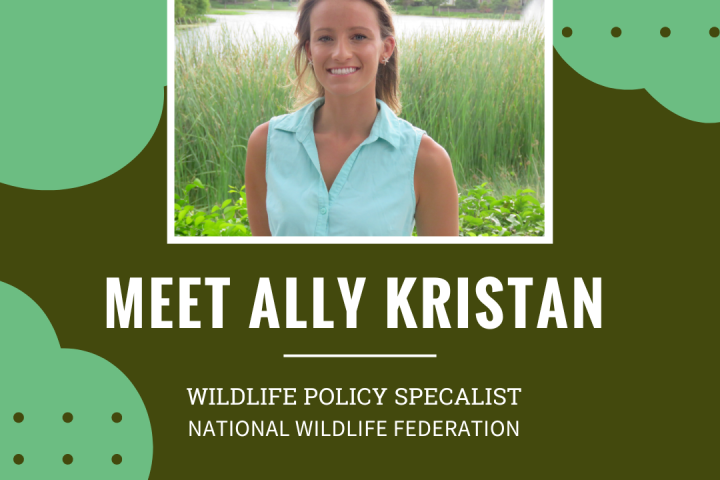 Advocating for our Coasts from Antarctica to the Gulf: Introducing Ally Kristan