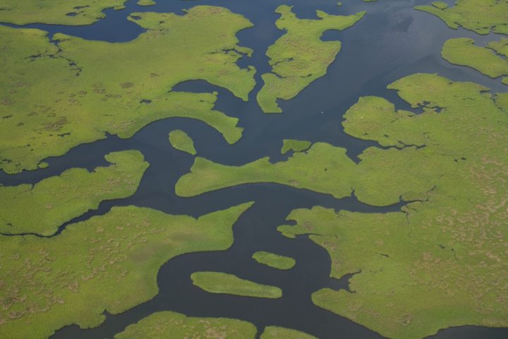 Aerial shot of marshlands - Restore the Mississippi River Delta