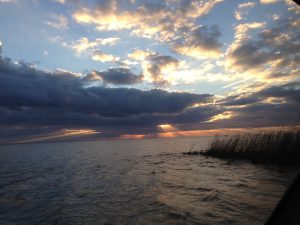 Restore the Mississippi River Delta - What We Do