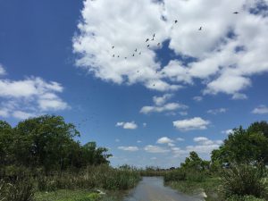 About Us - Restore the Mississippi Delta