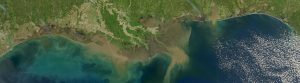 Gulf of Mexico Sediment Diversion - Restore the Mississippi River Delta