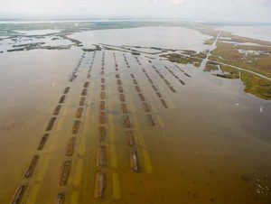 Terraces aerial shot - Restore the Mississippi River Delta
