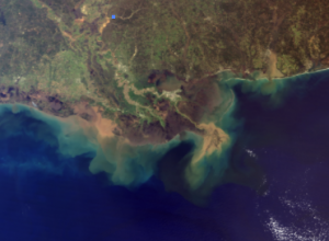 Satellite view of the Mississippi River Delta - Restore the Mississippi River Delta