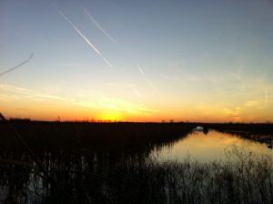 Sunset - Restore the Mississippi River Delta