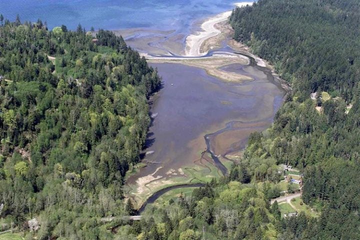 Estuaries 101: 3 things to know about this important ecosystem