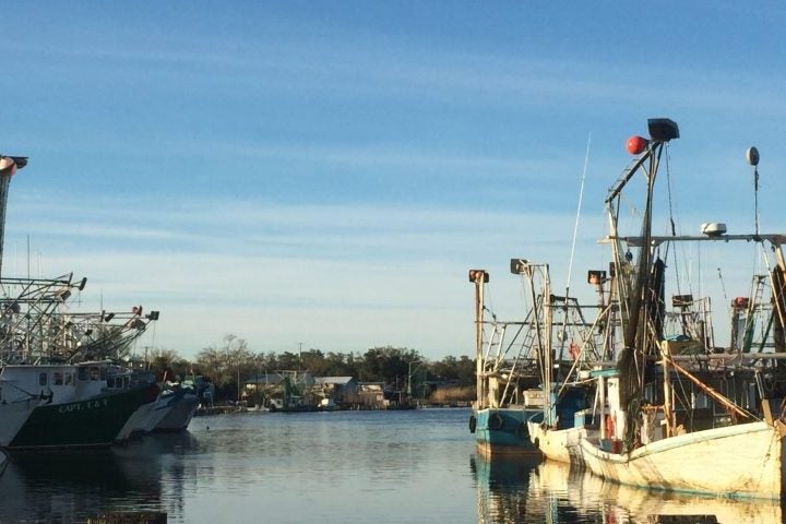 Conservation Heroes of the Mississippi River Delta Profiled in New Book