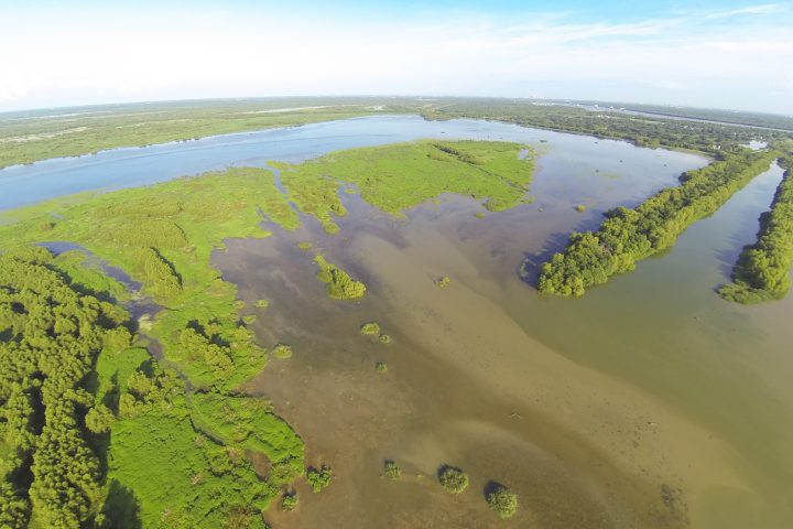 Will Diversions Introduce Nutrients That Harm Wetland Vegetation?