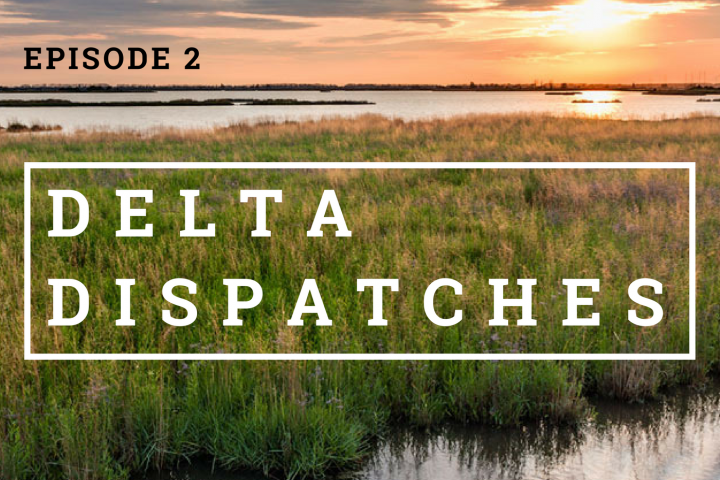 Delta Dispatches Podcast – Master Plan