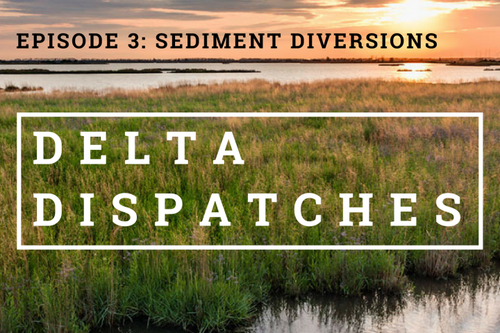 Delta Dispatches Podcast – Sediment Diversions