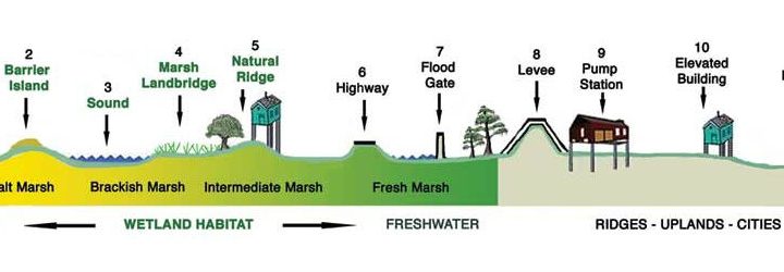 Do Levees Alone Provide Enough Flood Protection? No, They Do Not.