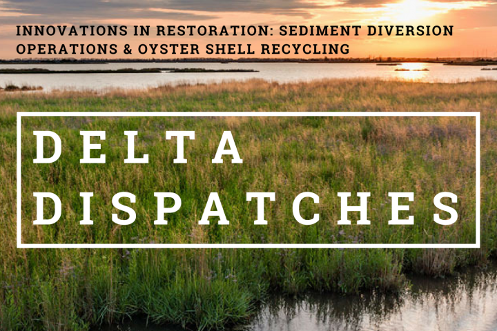 Delta Dispatches: Innovations in Restoration