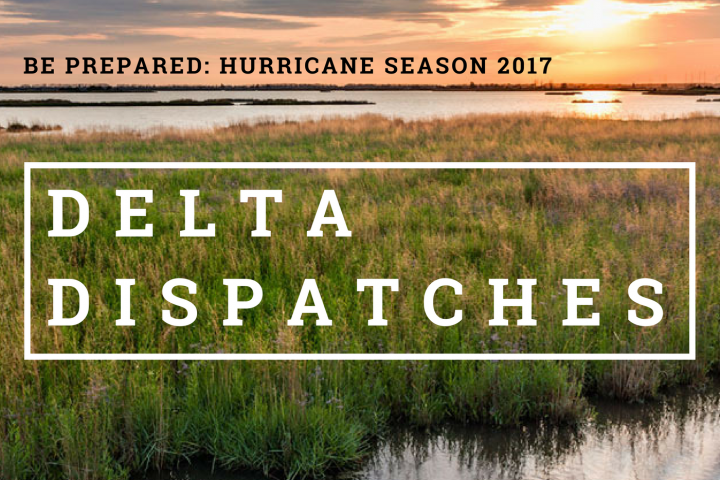 Delta Dispatches: Hurricane Season 2017