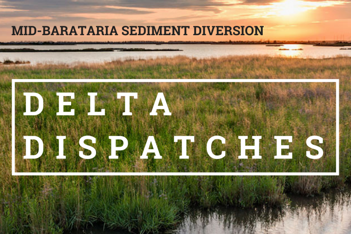 Delta Dispatches: The Mid-Barataria Sediment Diversion