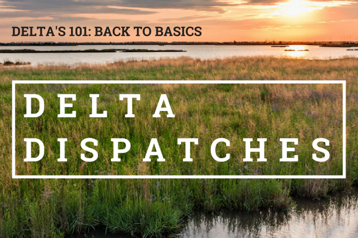 Delta Dispatches: Deltas 101 – Back to Basics