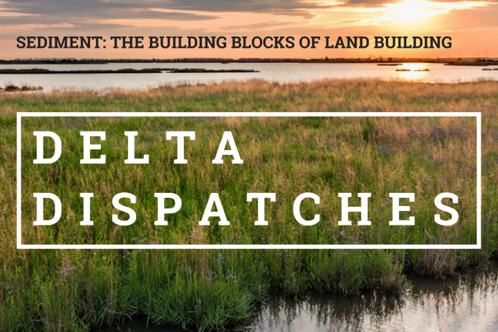 Delta Dispatches: Sediment – The Building Blocks of Land Building