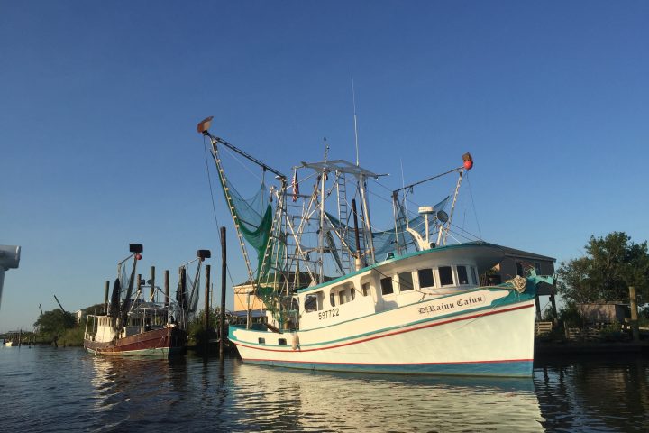 Coastal Latest & Greatest: A Photo Tour of the Communities, Infrastructure and Sediment of the Mississippi River