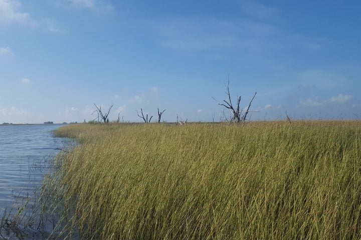 A Tale of Two Basins: Why One is Thriving While the Other is Dying