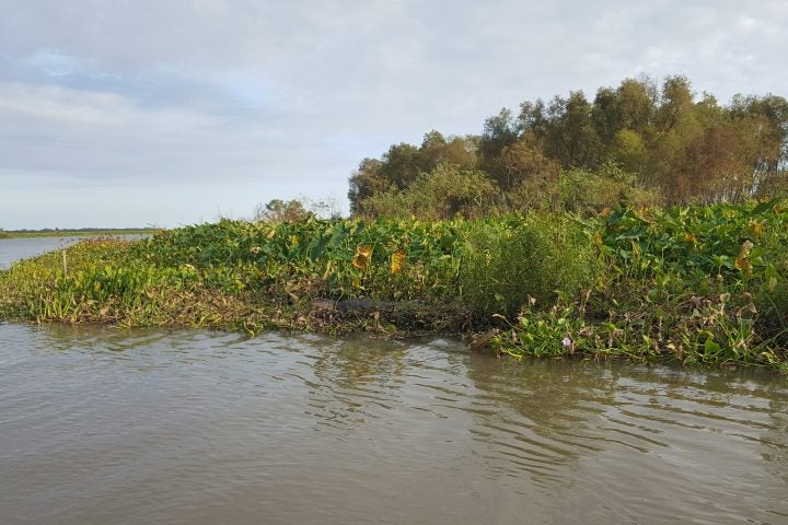 New Study Emphasizes Need for Swift Action to Save Louisiana’s Coast