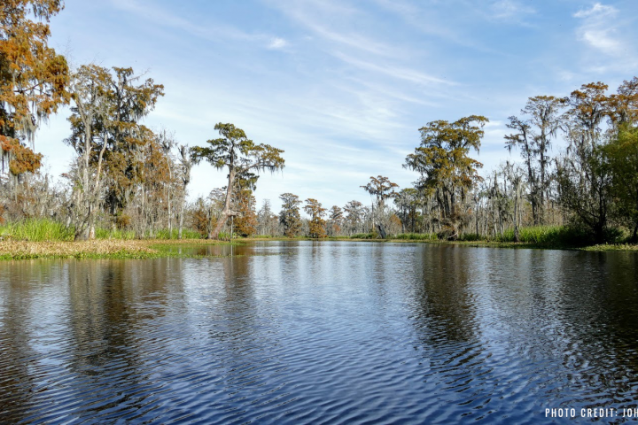 114 community leaders ask the Corps to make a win-win decision for a threatened swamp