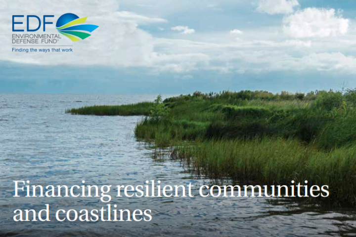 How Environmental Impact Bonds Can Help Louisiana Restore its Coast Better, Faster, and for Less Money