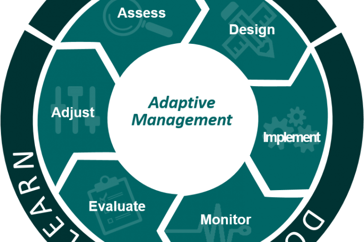 What Role Does Adaptive Management Play in Restoring Our Coast?