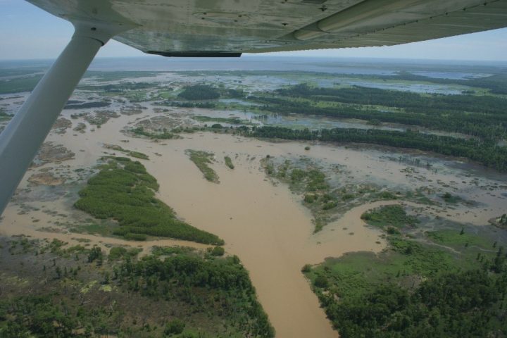 Lessons from Davis Pond – A Case Study in Adaptive Management