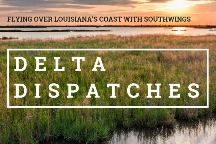 Delta Dispatches: Flying over Louisiana’s Coast with SouthWings