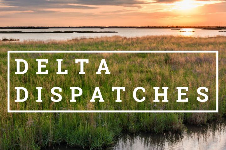 Delta Dispatches: Building Coastal Resilience in Louisiana and Beyond