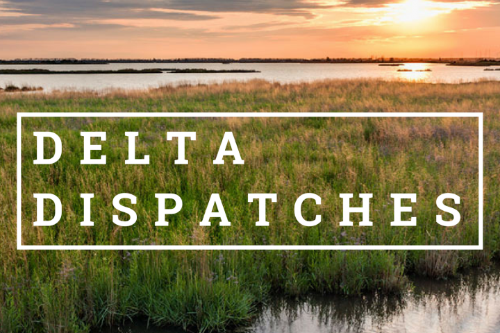 Delta Dispatches: Scoping Out the Mid-Breton Sediment Diversion