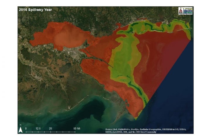 Oyster Biology and Habitat Suitability Analysis