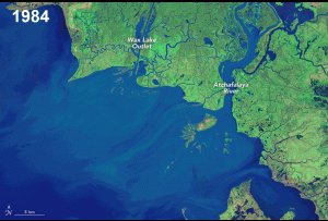 GIF of the Wax Lake Delta growing land over time.