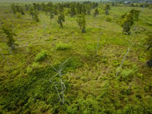 Photo Credit: Jared Serigne