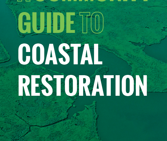 Knowledge is Power: Introducing a New Guide to Coastal Restoration!